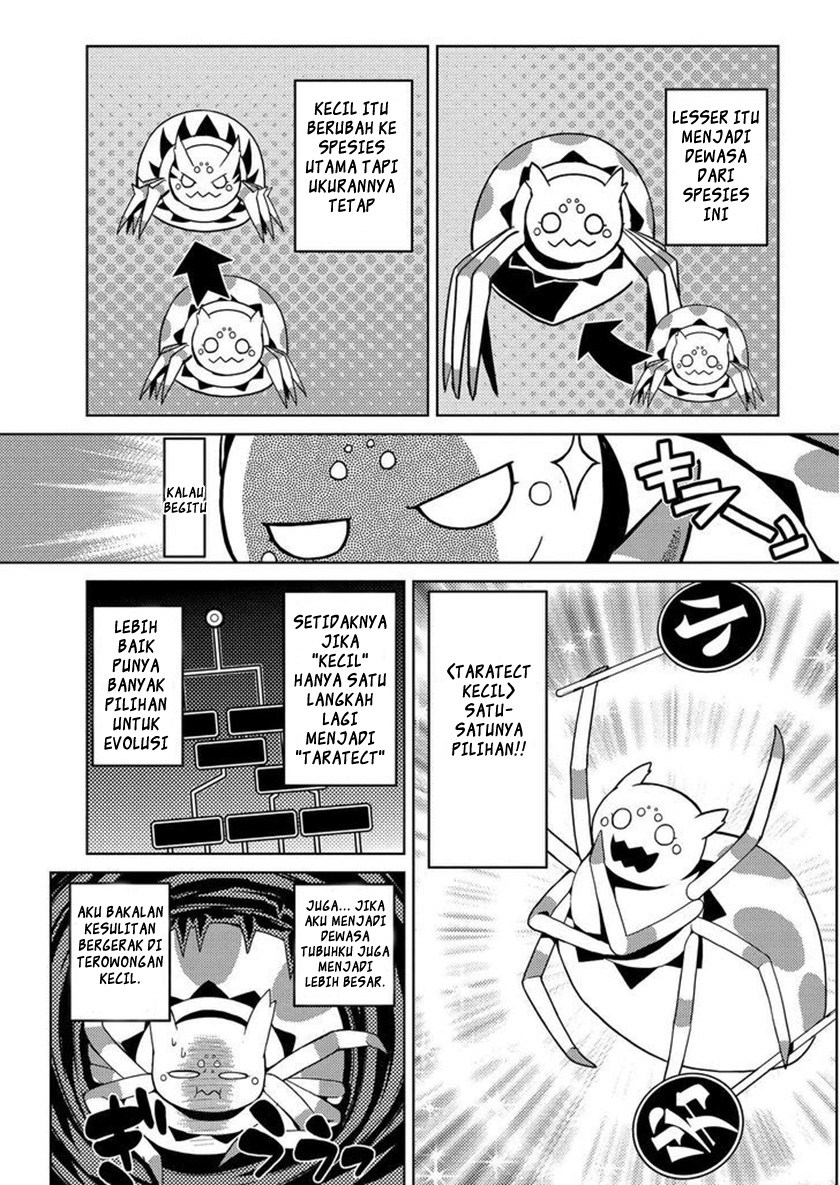 Kumo desu ga, Nani Ka?